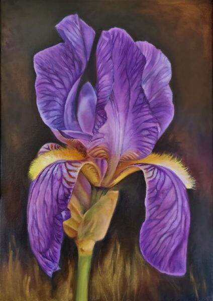 Blue Iris