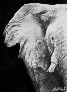 The Elephant by Liesel Wessels