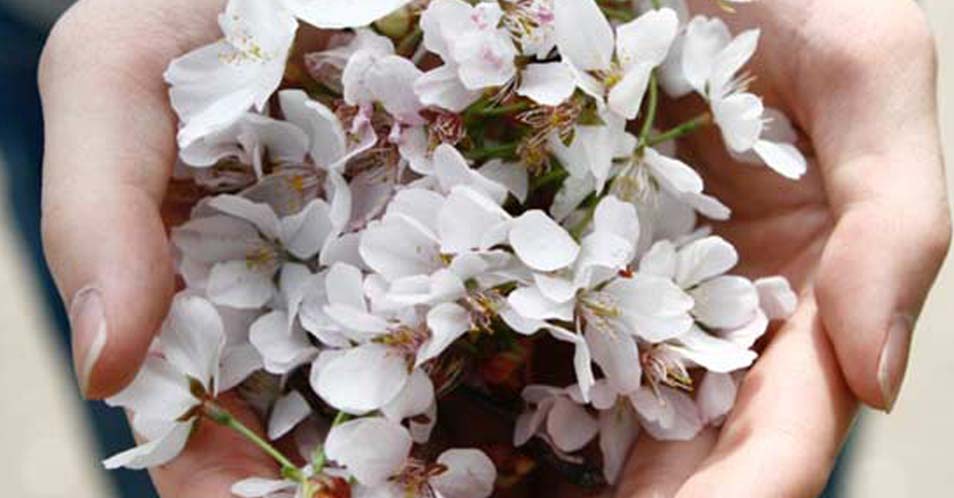 always give first - artist tips