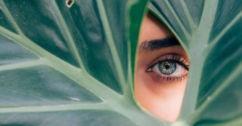 find your niche - artist tips